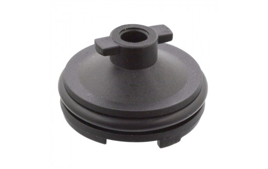 Screw Plug, transmission housing febi Plus 106566