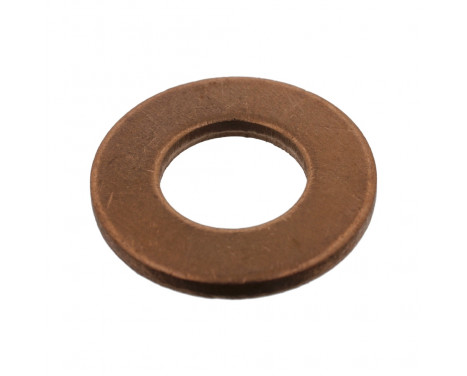 Seal, oil drain plug 33960 FEBI