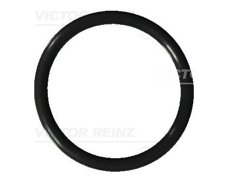 Seal, oil drain plug 40-76041-20 Viktor Reinz