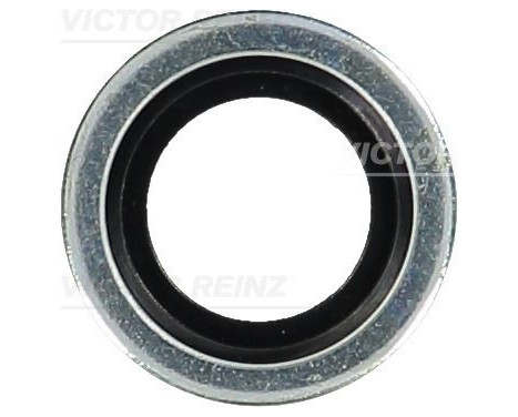Seal, oil drain plug 70-31610-00 Viktor Reinz