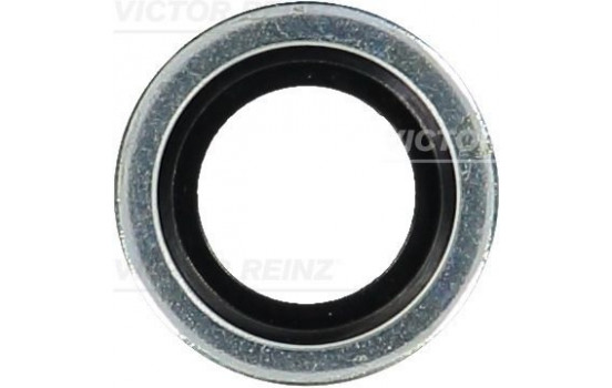Seal, oil drain plug 70-31610-00 Viktor Reinz