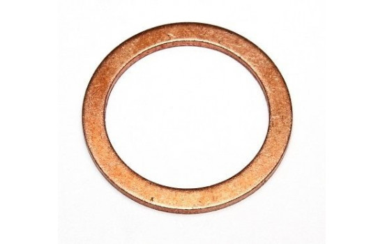 Seal Ring 031.046 Elring