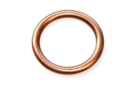 Seal Ring 813.133 Elring