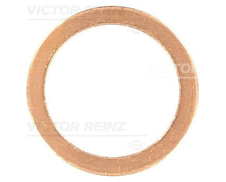 Seal Ring, oil drain plug 41-70168-00 Viktor Reinz