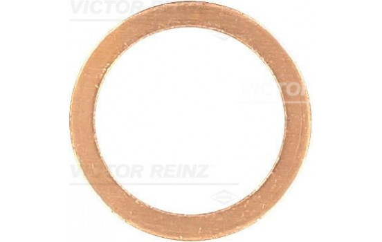 Seal Ring, oil drain plug 41-70168-00 Viktor Reinz