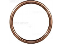 Seal Ring, oil drain plug 41-72065-30 Viktor Reinz