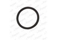 Seal Ring, oil drain plug LA5120 Payen