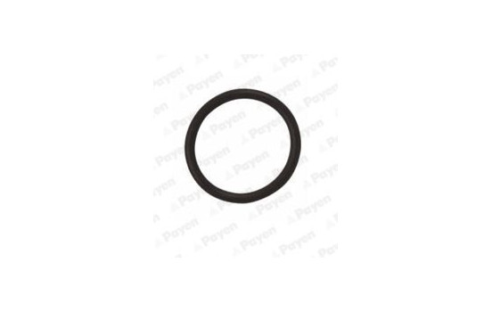 Seal Ring, oil drain plug LA5120 Payen