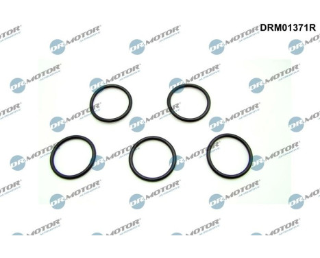 Seal ring, oil drain plug