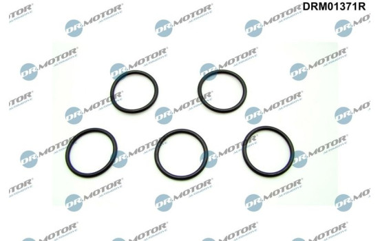 Seal ring, oil drain plug