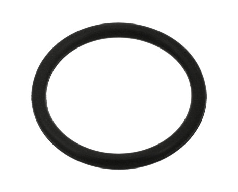 Seal Ring