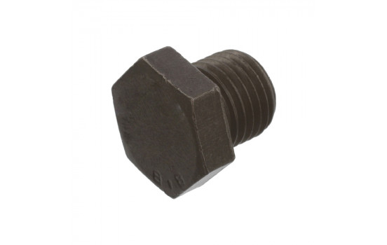 Sealing Plug, oil sump 03160 FEBI