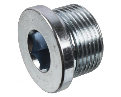Sealing Plug, oil sump 05410 FEBI