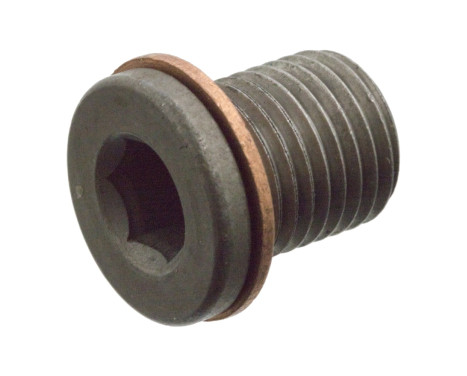 Sealing Plug, oil sump 104309 FEBI