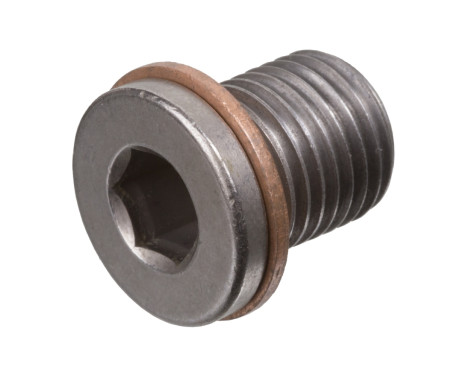 Sealing Plug, oil sump 104466 FEBI