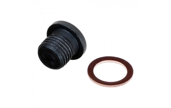 Sealing Plug, oil sump 171173 FEBI