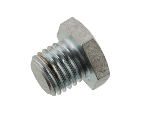 Sealing Plug, oil sump 171283 FEBI