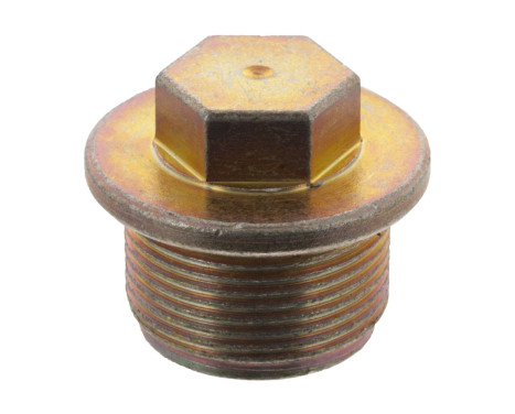 Sealing Plug, oil sump 19294 FEBI