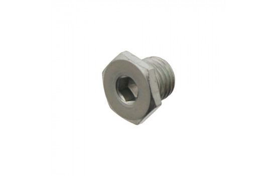 Sealing Plug, oil sump 30967 FEBI