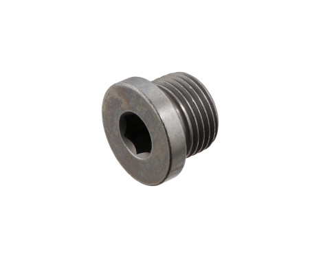 Sealing Plug, oil sump 31702 FEBI