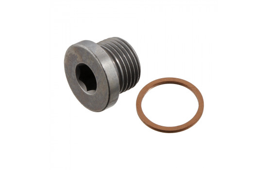 Sealing Plug, oil sump 31704 FEBI