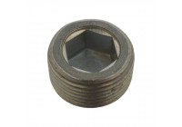 Sealing Plug, oil sump 38179 FEBI