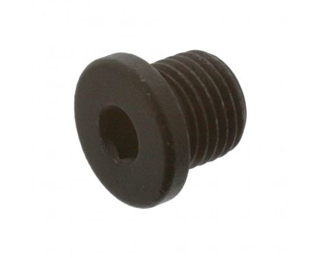 Sealing Plug, oil sump 38788 FEBI