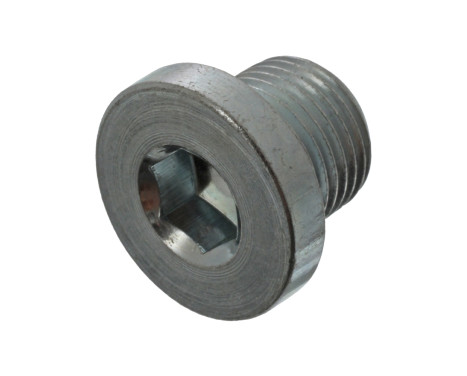 Sealing Plug, oil sump 45617 FEBI
