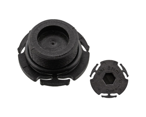 Sealing Plug, oil sump 47894 FEBI