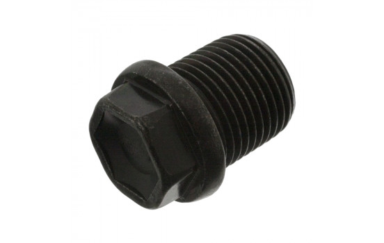 Sealing Plug, oil sump 48875 FEBI