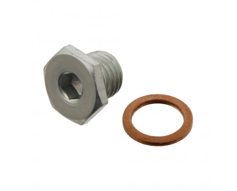 Sealing Plug, oil sump 48887 FEBI