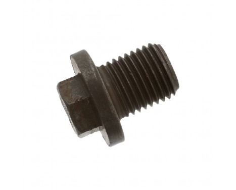 Sealing Plug, oil sump 48894 FEBI