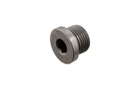 Sealing Plug, oil sump 48896 FEBI
