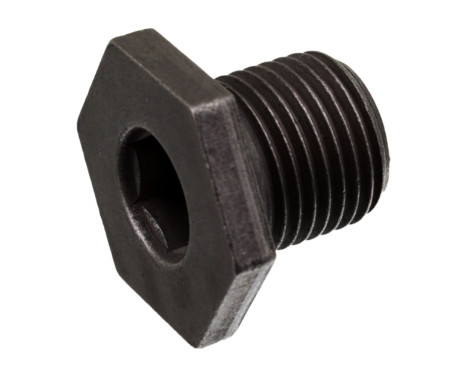 Sealing Plug, oil sump 48905 FEBI