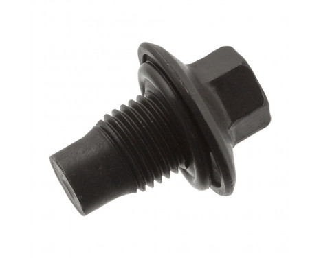 Sealing Plug, oil sump 48907 FEBI