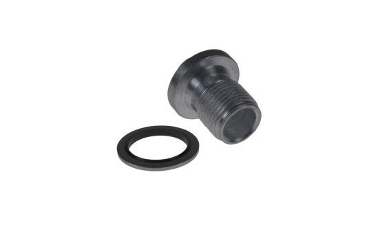 Sealing Plug, oil sump ADL140101 Blue Print