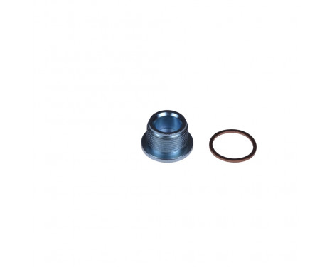 Sealing Plug, oil sump ADV180105 Blue Print