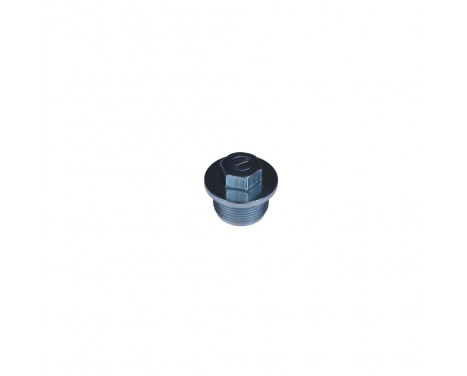 Sealing Plug, oil sump ADV180105 Blue Print, Image 2