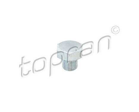 Sealing Plug, oil sump
