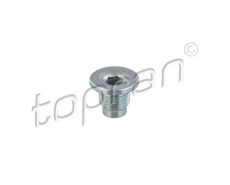 Sealing Plug, oil sump