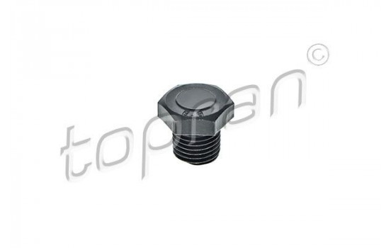 Sealing Plug, oil sump