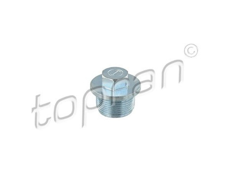 Sealing Plug, oil sump