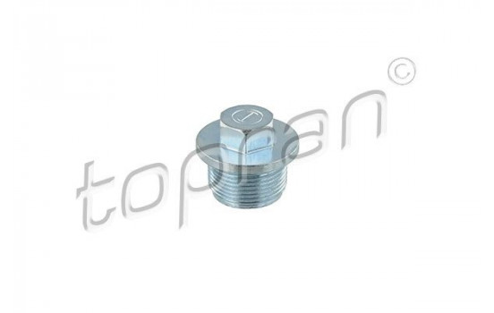 Sealing Plug, oil sump