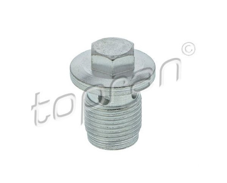 Sealing Plug, oil sump