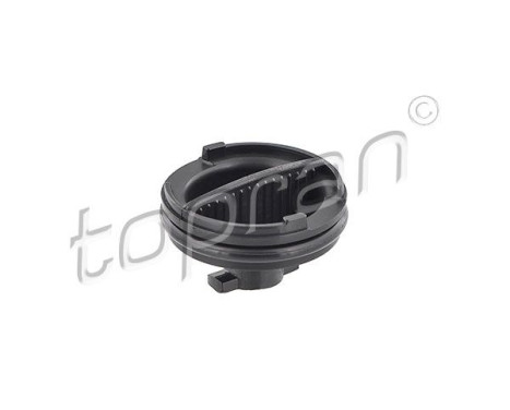 Sealing Plug, oil sump