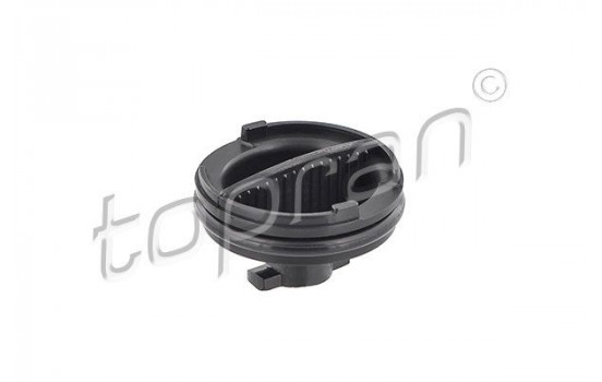 Sealing Plug, oil sump