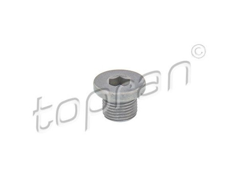 Sealing Plug, oil sump