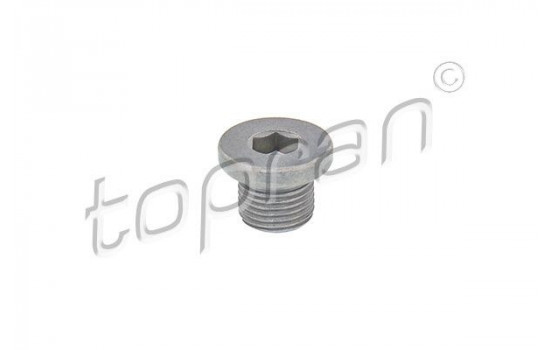 Sealing Plug, oil sump