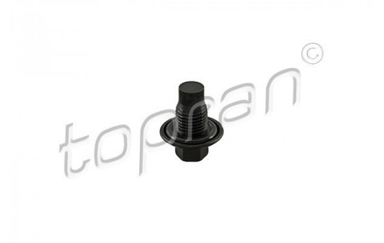 Sealing Plug, oil sump