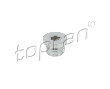 Sealing Plug, oil sump